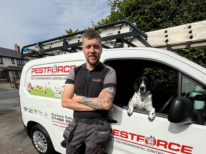 Pest Control Warrington 